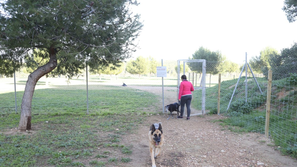 El pipicán de Sant Pere i Sant Pau ha sido vallado pero se ha limitado el acceso a una amplia zona con una verja. con una verja. Se puede entrar «bajo la responsabili-dad» del que accede y, paradójica-mente, la puerta siempre está abierta. 