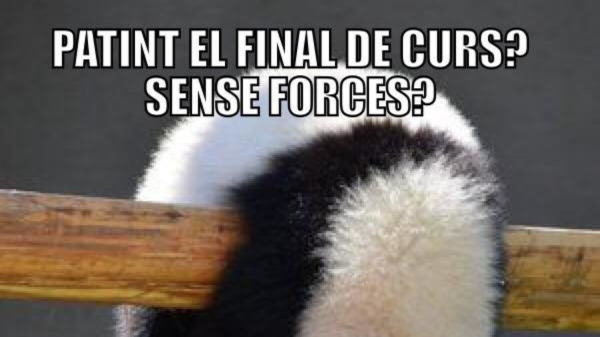 El cura tarraconense de los memes