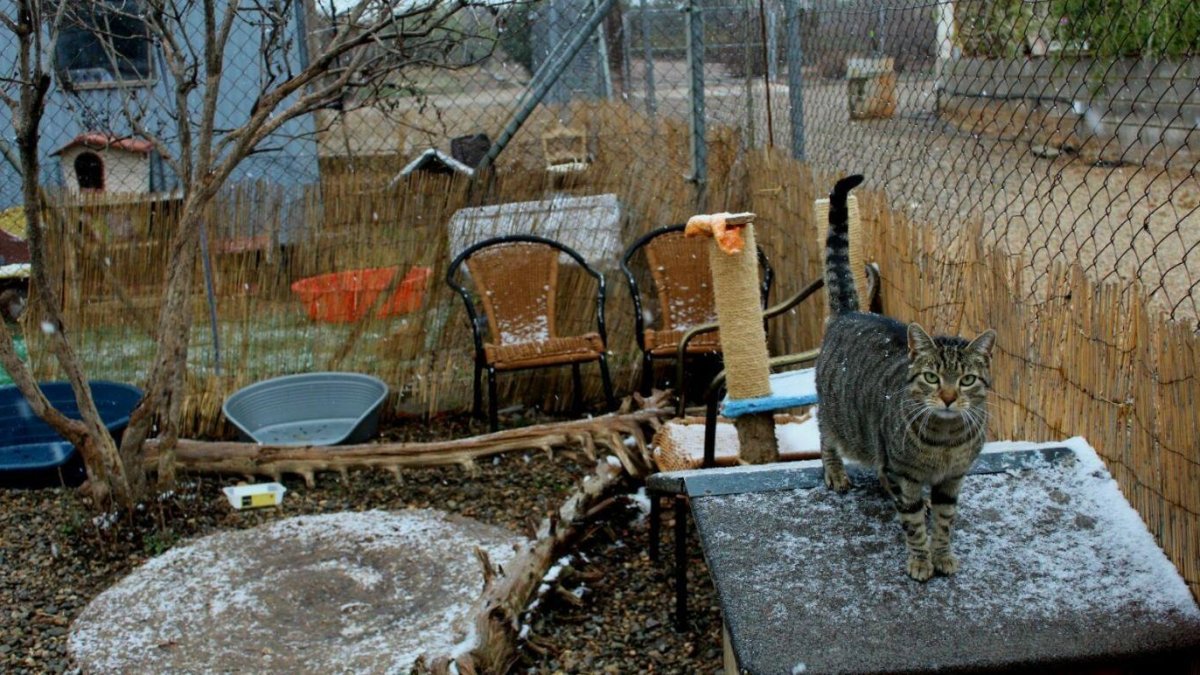 El Refugi Baix Camp está ubicado en Riudoms desde sus inicios