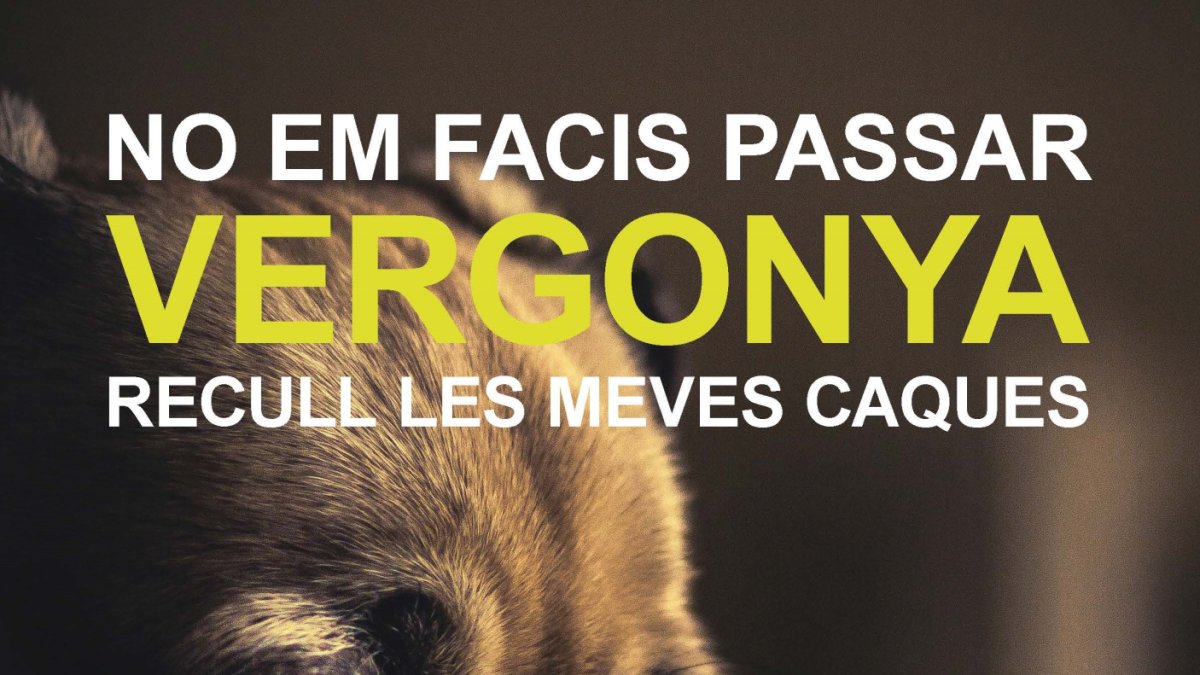 Mont-roig lluita contra l'incivisme