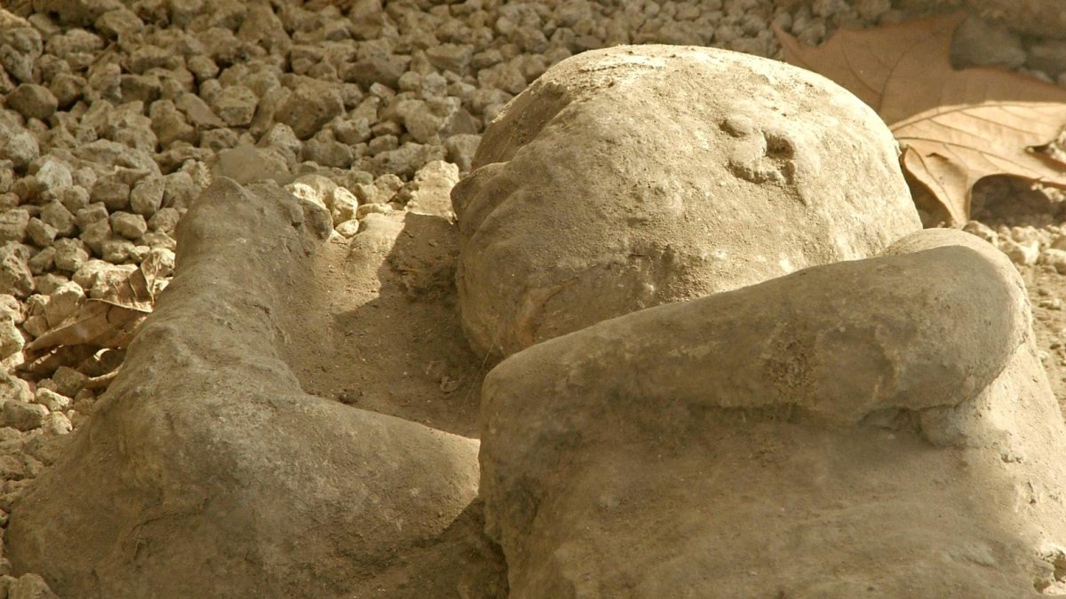 Una hora, 291 recién nacidos muertos