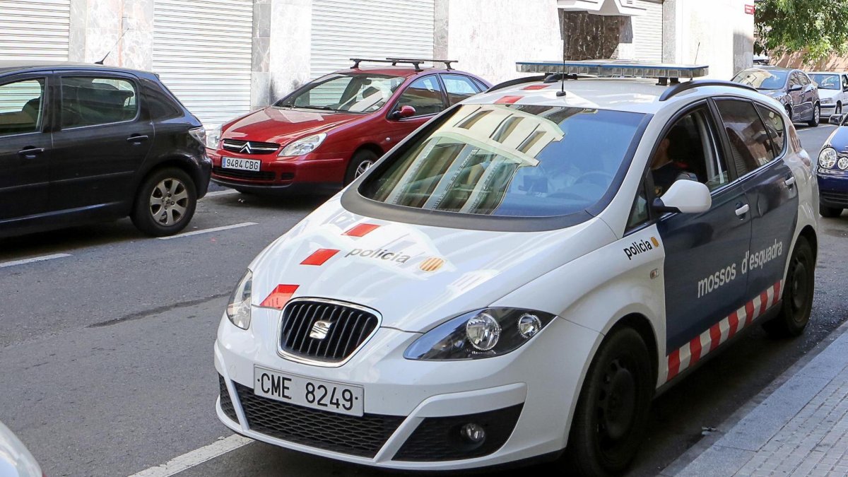 Els Mossos van detenir dijous a un lladre per dos robatoris: una cadena d'or i una bicicleta.