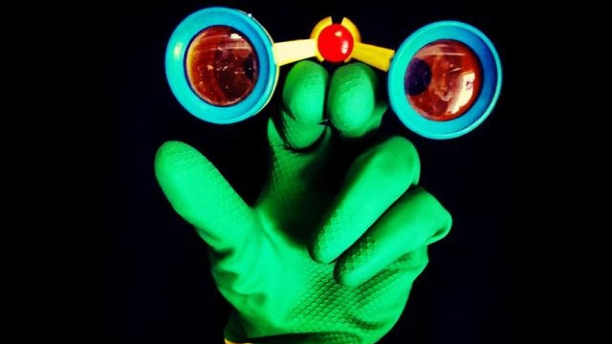 Festival para observar y experimentar en familia