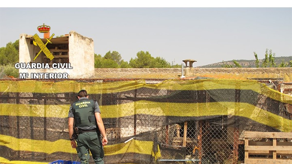 Imagen de un Guardia Civil investigando el exterior de la finca.