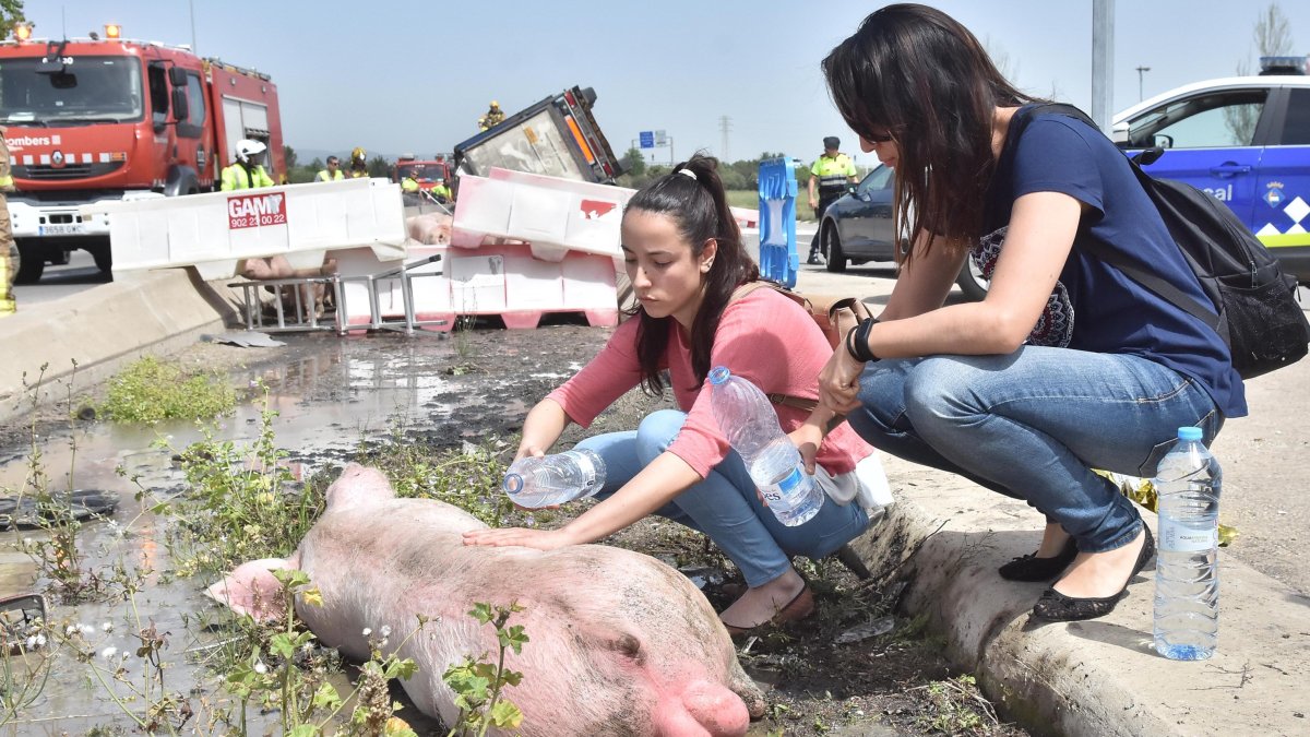 Dos activistas en el lugar del accidente del camión.