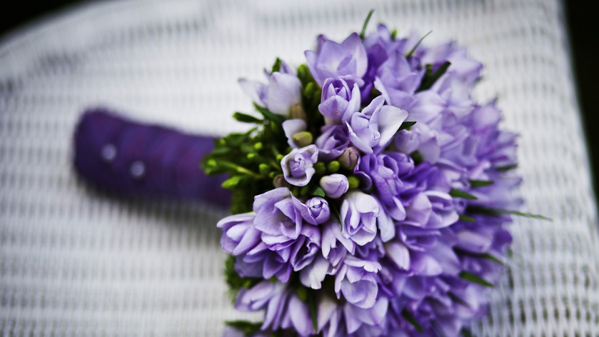 Sorprende a tu pareja con regalos de cumpleaños y flores a domicilio