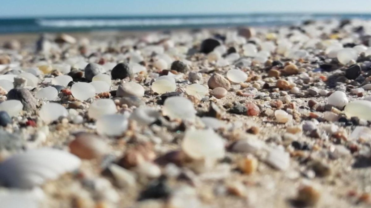 Los comerciantes, críticos con la ‘bandera negra’ de la playa de La Pineda