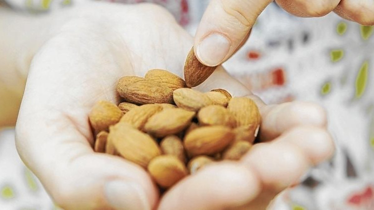 Determinar cómo y cuándo tuvo lugar este cambio genético era el objetivo de un estudio publicado en ‘Science’.