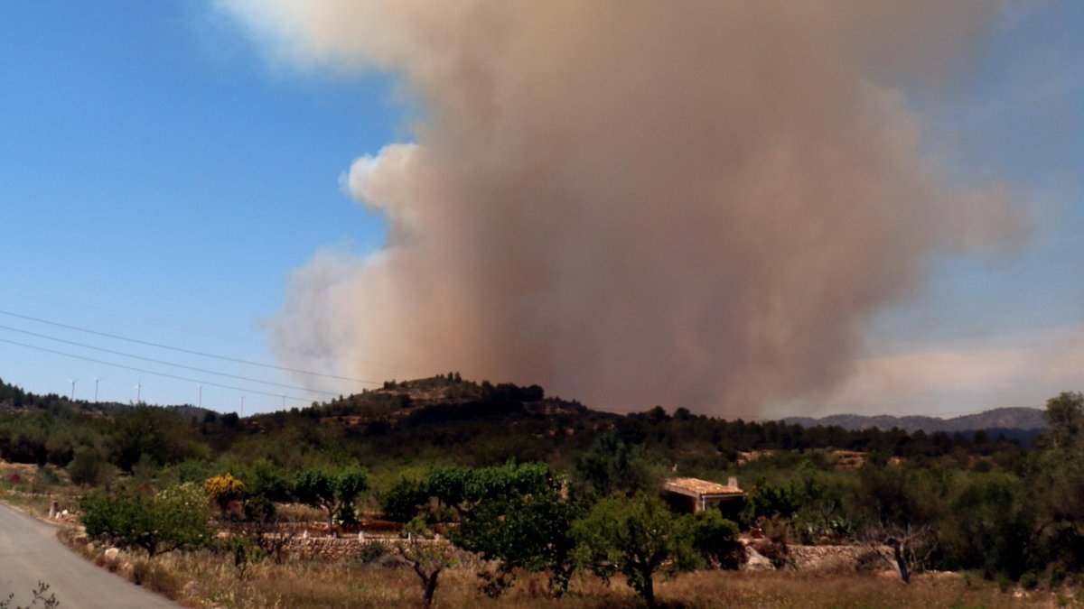 Imatge d’arxiu del dilluns al migdia, moment en què l’incendi va agafar més força