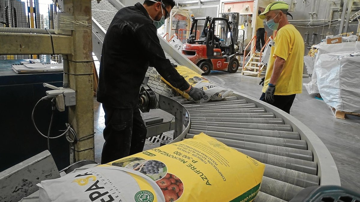 Línea de producción de Afepasa en Constantí, la semana pasada.