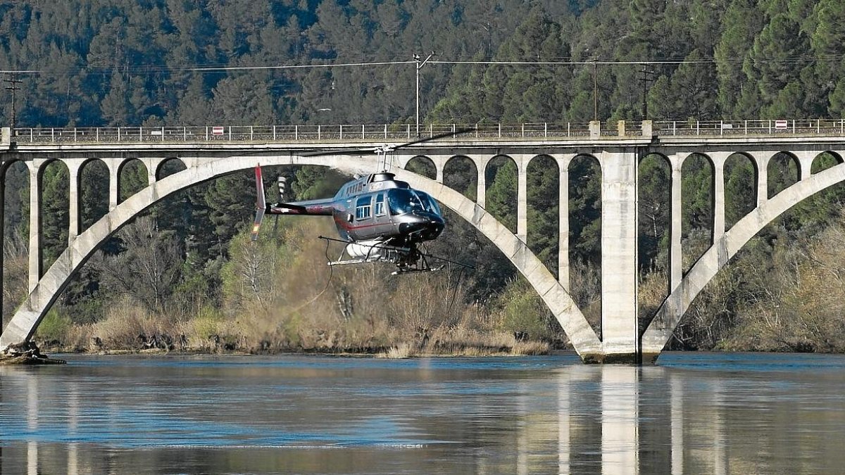 Imatge d’un dels tractaments aeris que realitza el COPATE contra la mosca negra.