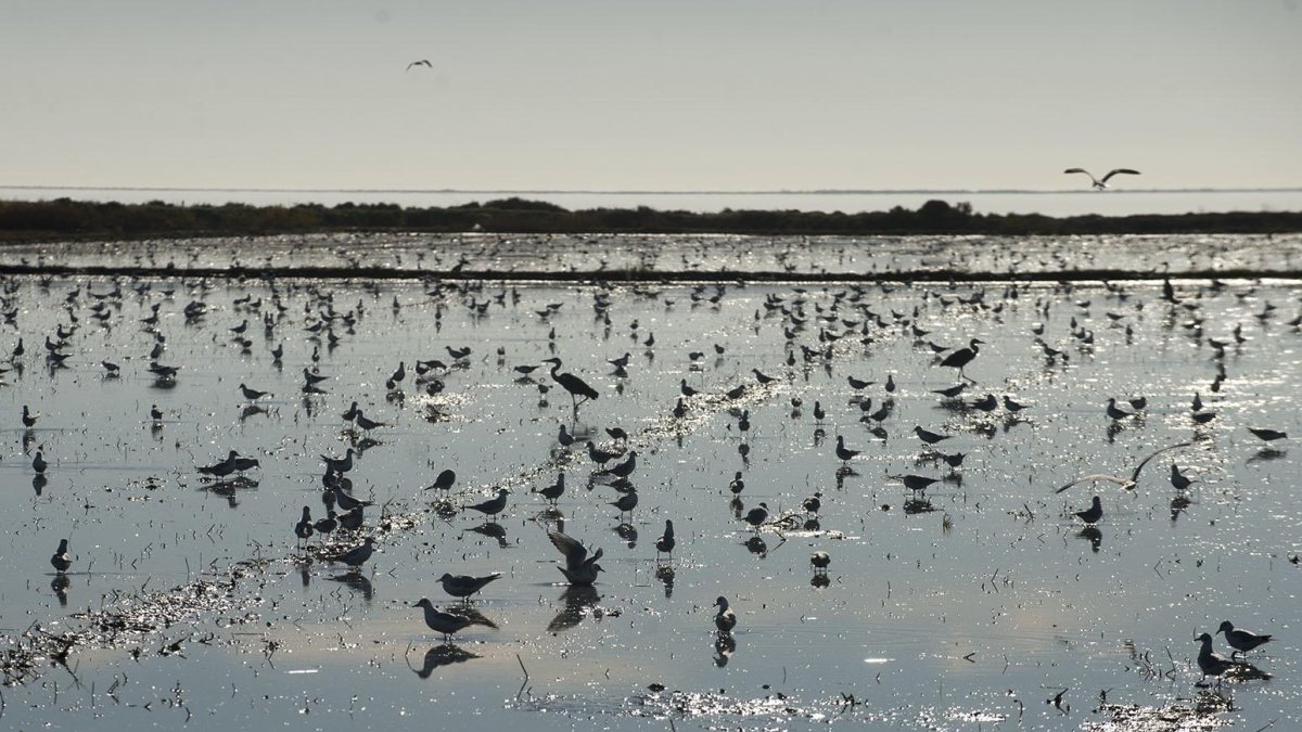 Actualment hi ha 180 empreses acreditades de les Terres de l'Ebre.