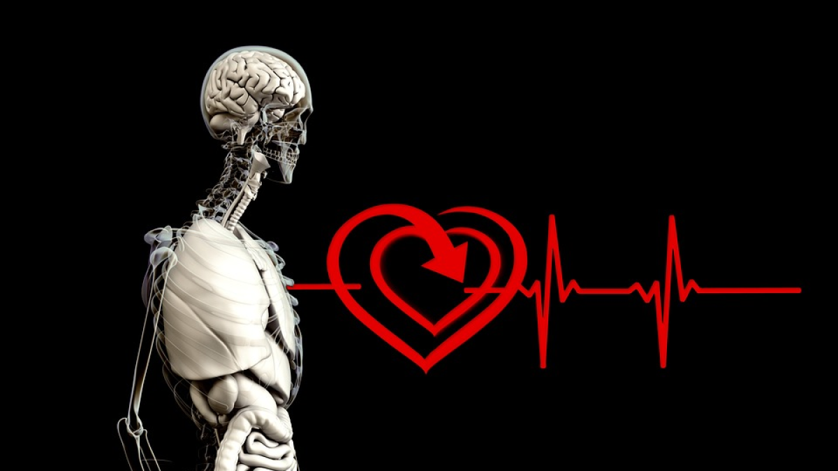Prevenir, cuidar y atender la salud ayuda a tener una mejor calidad de vida