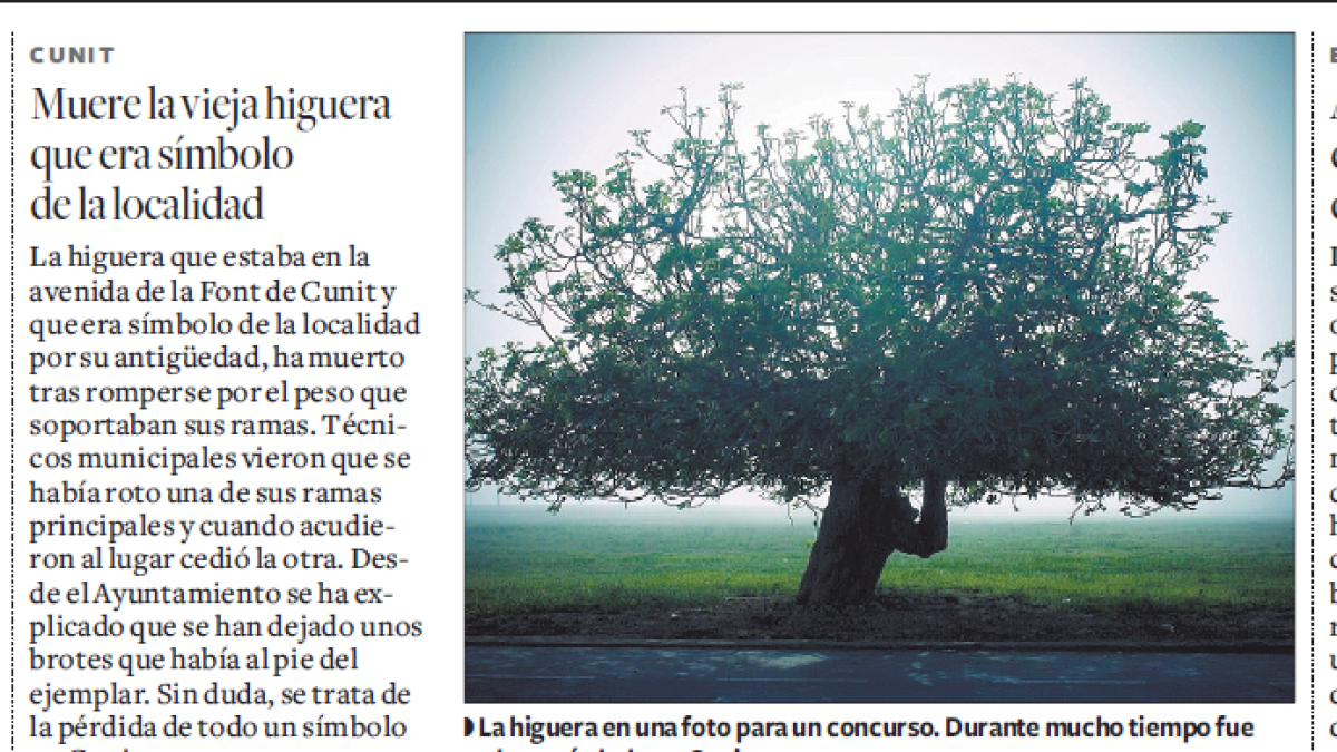 Iniciativa popular para recordar al jardinero de Cunit a los pies de su higuera