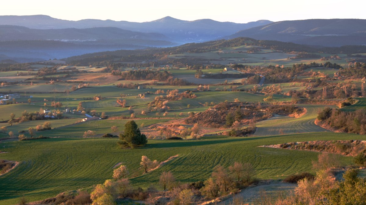 La Baixa Segarra comprèn els municipis del nord de la Conca de Barberà i en són nou.