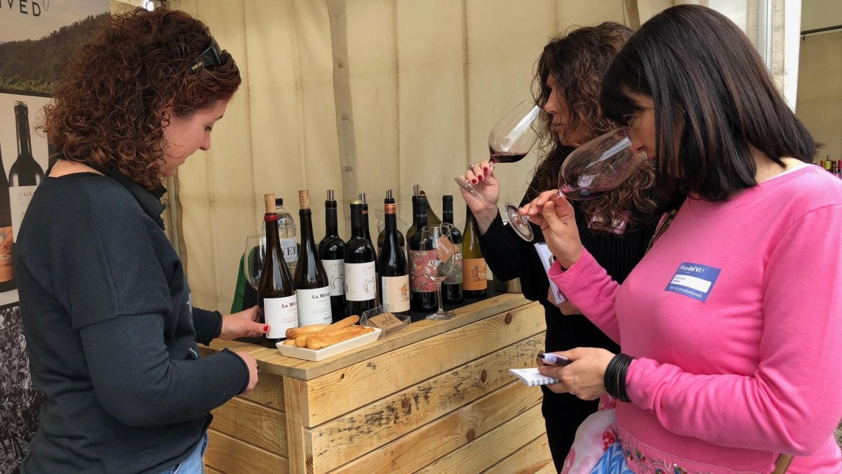 La crisi del coronavirus ha portat l'organització de la Fira del Vi de Falset a impulsar la primera edició 'online' de la festa.