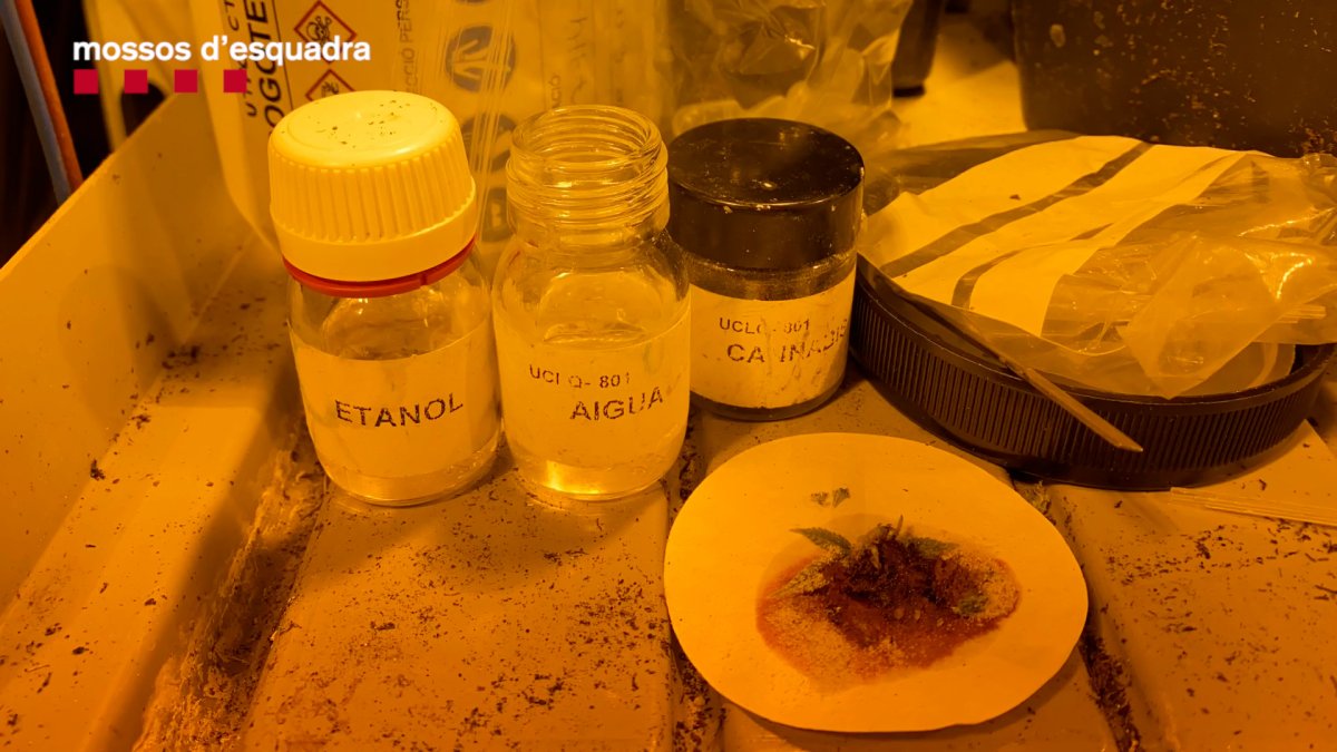 Material parta el cultivo localizado en la casa.