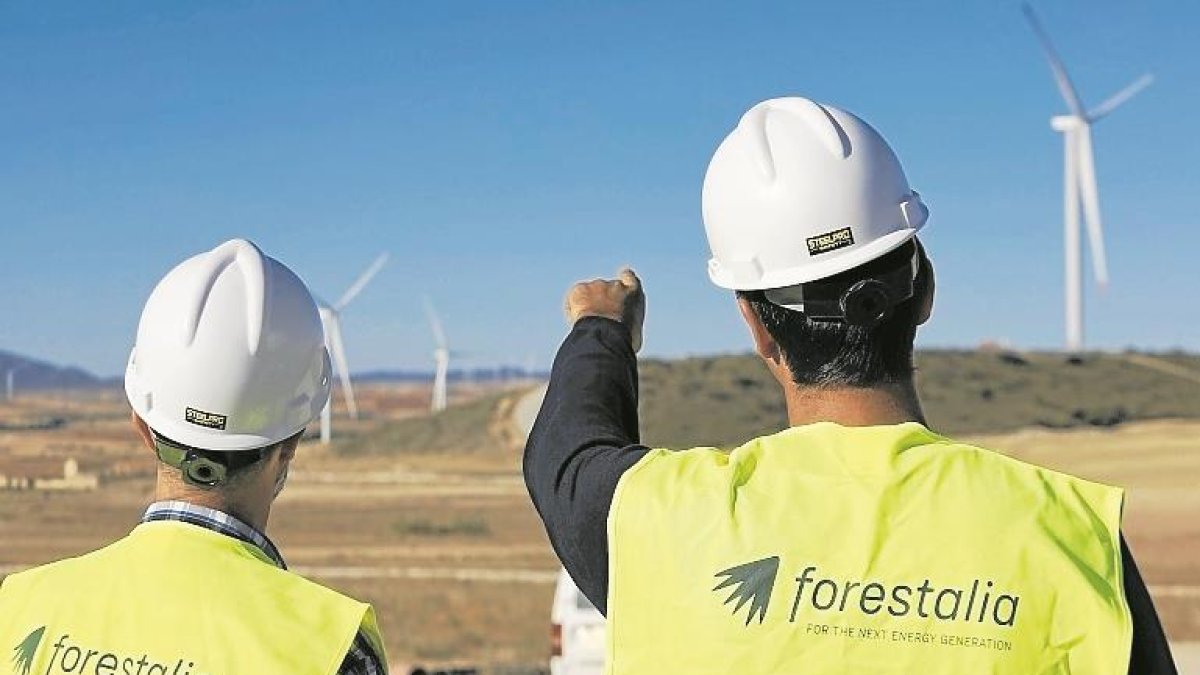 Imagen de archivo de dos técnicos de Forestalia.