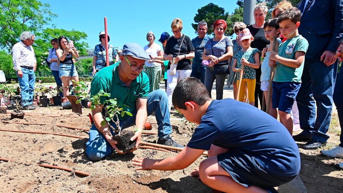 Vecinos del barrio de la zona Mas Iglesias, ayer por la mañana plantando rosas en el parque.