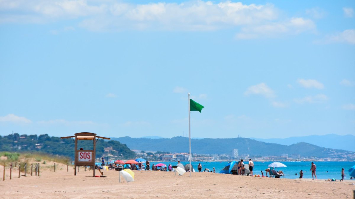 El hallazgo de este cráneo ha sido a cien metros de la orilla de Els Muntanyans.