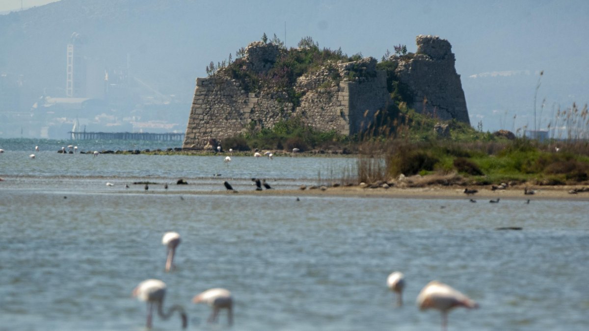 La torre, envoltada d’aigua i d’aus, a la badia dels Alfacs.