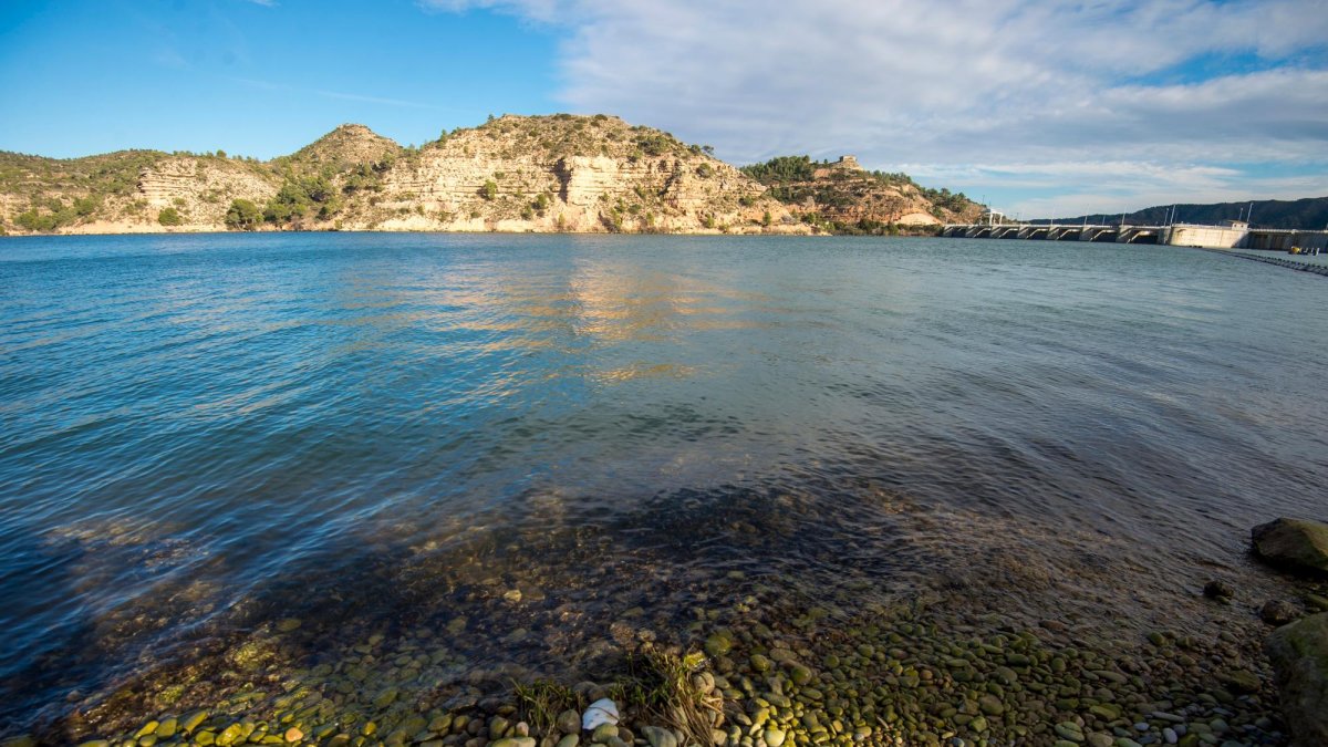 Detall de l’embassament de Riba-roja d’Ebre.