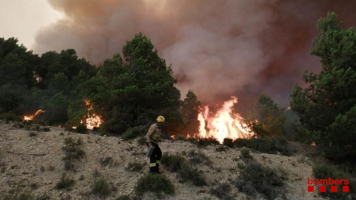La Generalitat demana ajuda a l'Estat per combatre el foc de la Conca de Barberà i l'Anoia