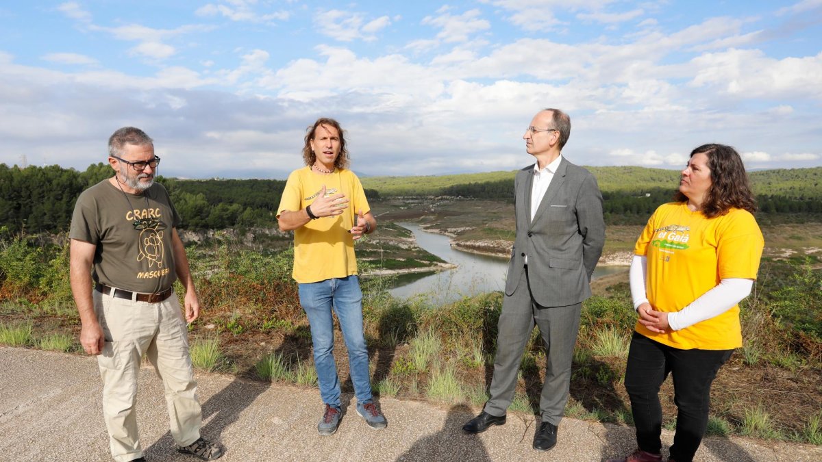 Proyecto para reintroducir la tortuga de tierra en el embalse de El Catllar