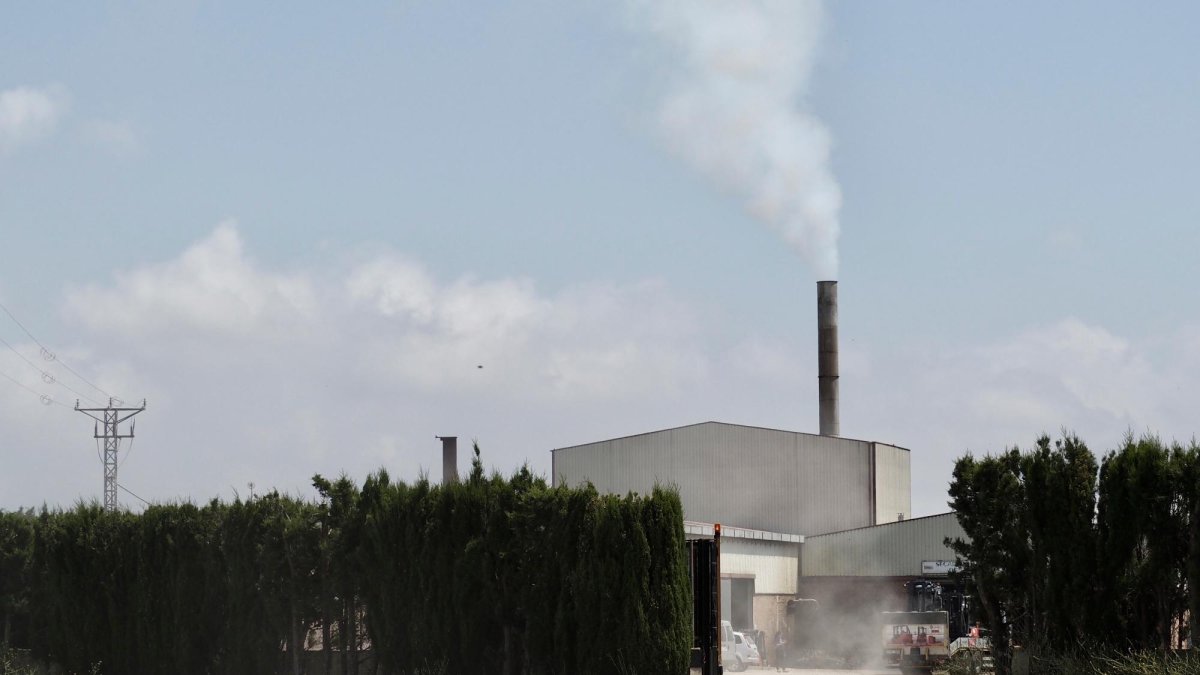 El fum de la planta d’assecatge de sansa molesta els veïns de Santa Bàrbara.