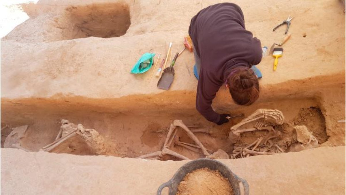 Excavación reciente, en Mas de Santa Magdalena, Móra d’Ebre. Es la fosa más grande abierta en Catalunya.