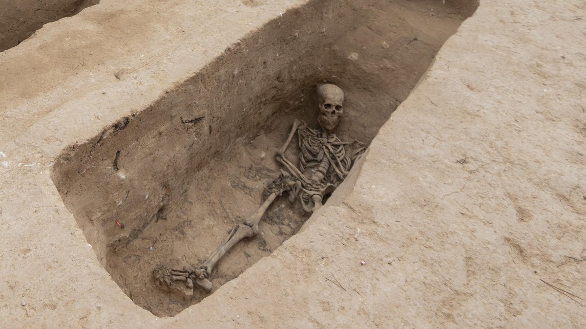 El programa d’identificació genètica ja ha permès identificar 16 persones víctimes de la Guerra Civil.