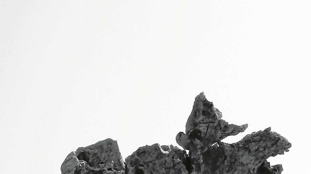 Un dels elements petrificats.