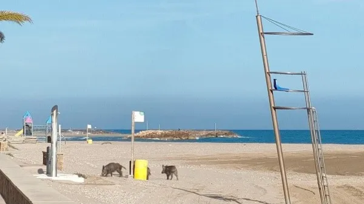 En la playa de Cunit.