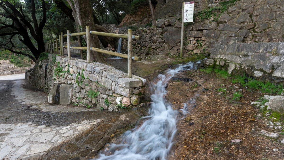 L’Ebre registra un any plujós, en contrast amb la sequera generalitzada a Catalunya