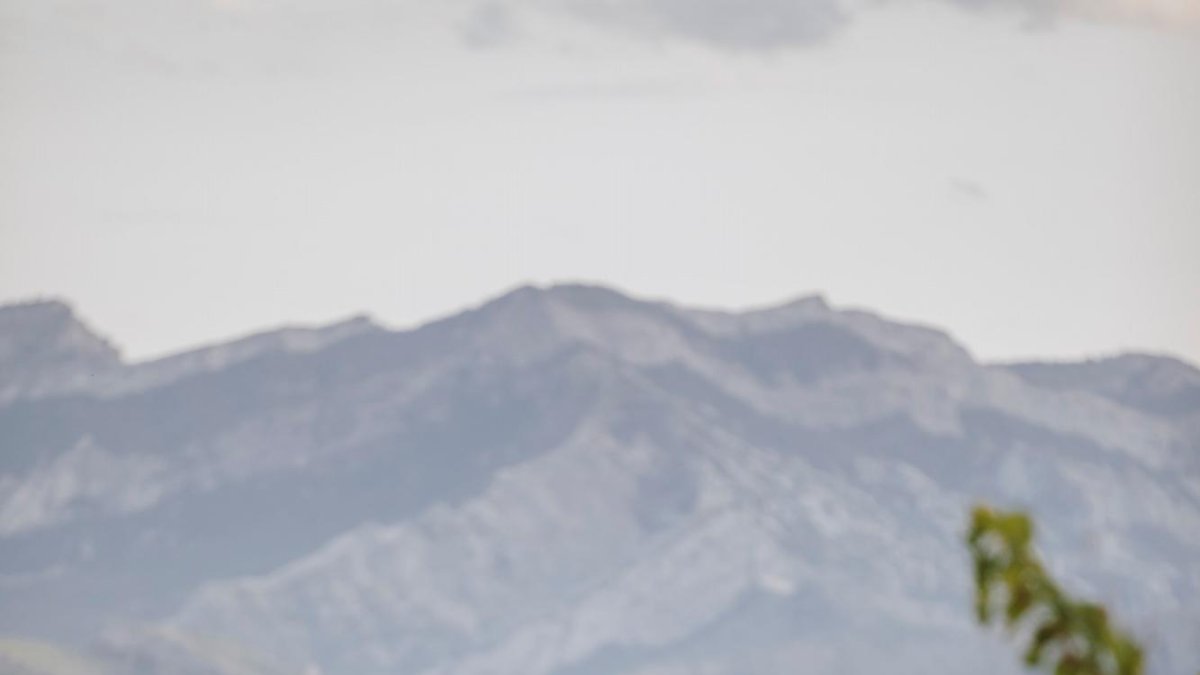 Núria Altés y Rafael De Haan, propietarios de Herència Altés.