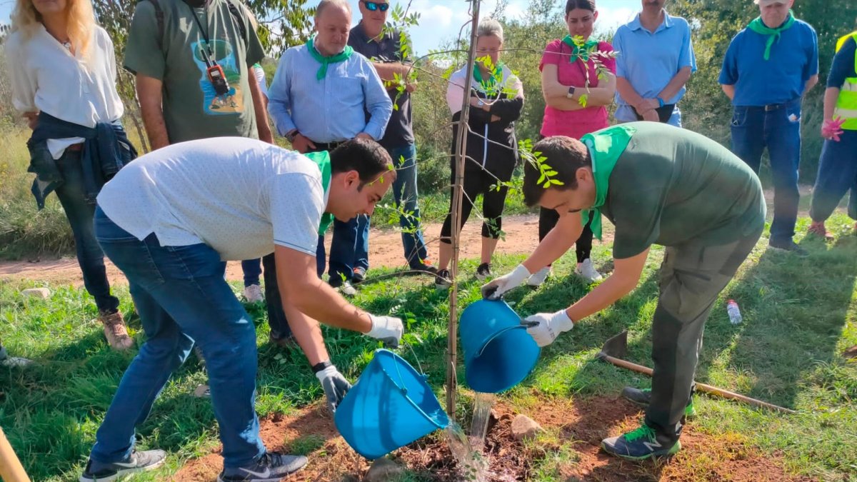 En total es van plantar 345 plantes de dotze espècies.