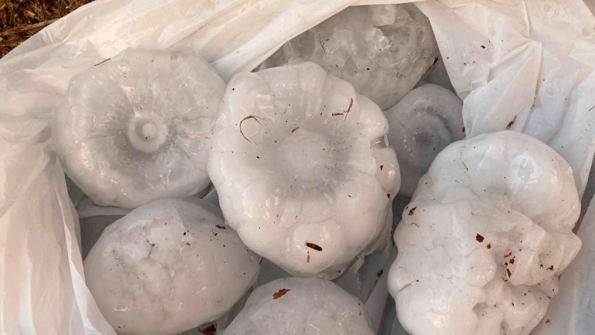 Imagen de algunas de las piedras de hielo que cayeron ayer en La Bisbal d’Empordà.