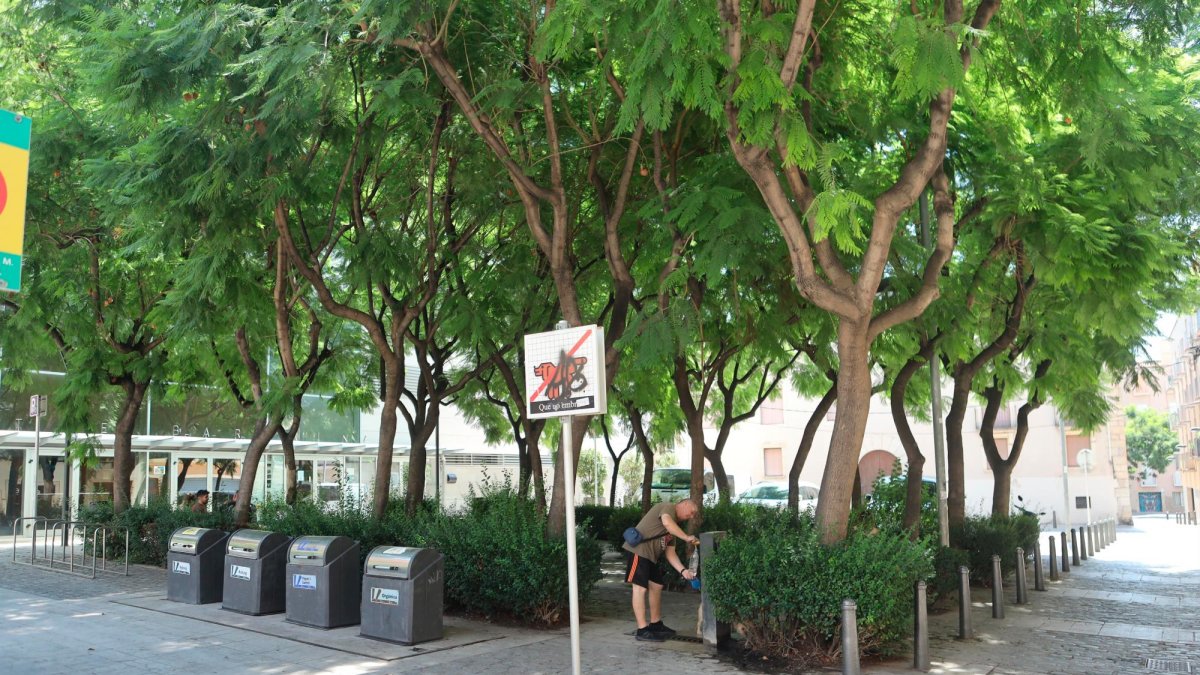 Los vecinos de la asociación Puríssima Concepció i Casc Antic se quejan del «gamberrismo» que hay en la zona.