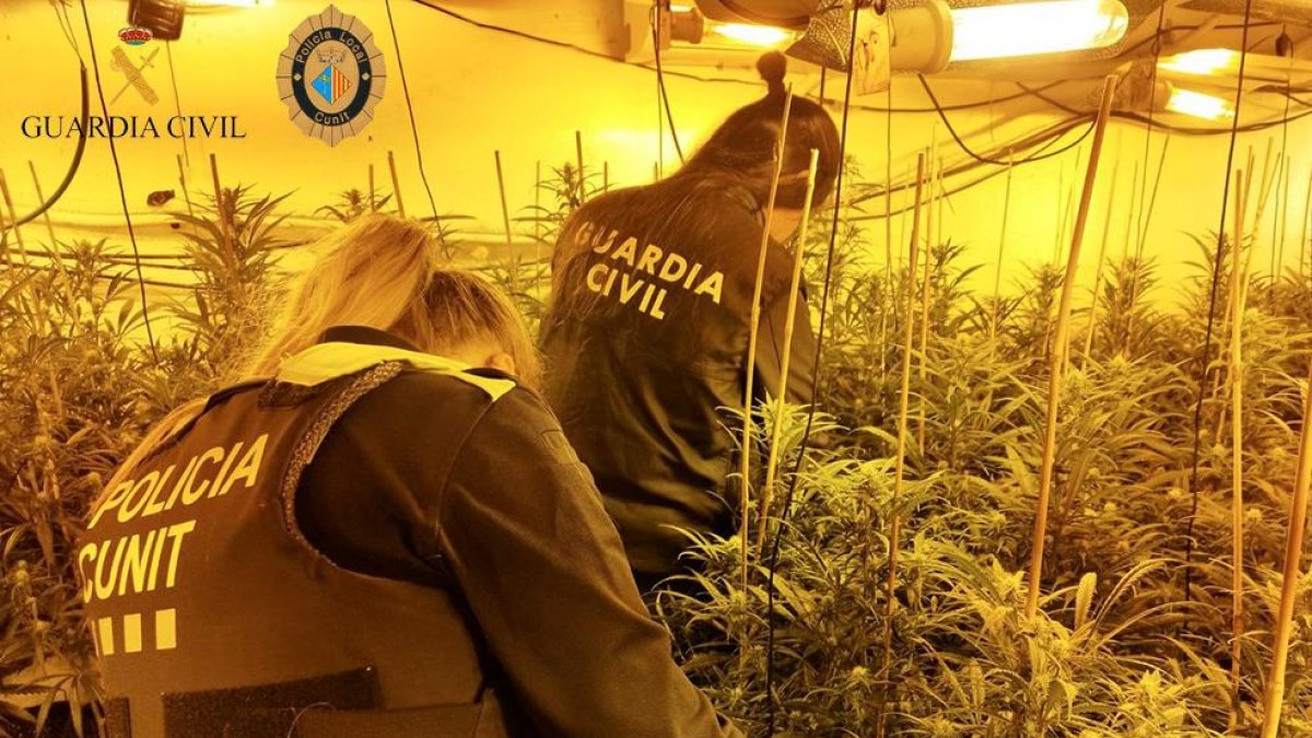 La operación ha sido de Policía Local y Guardia Civil.