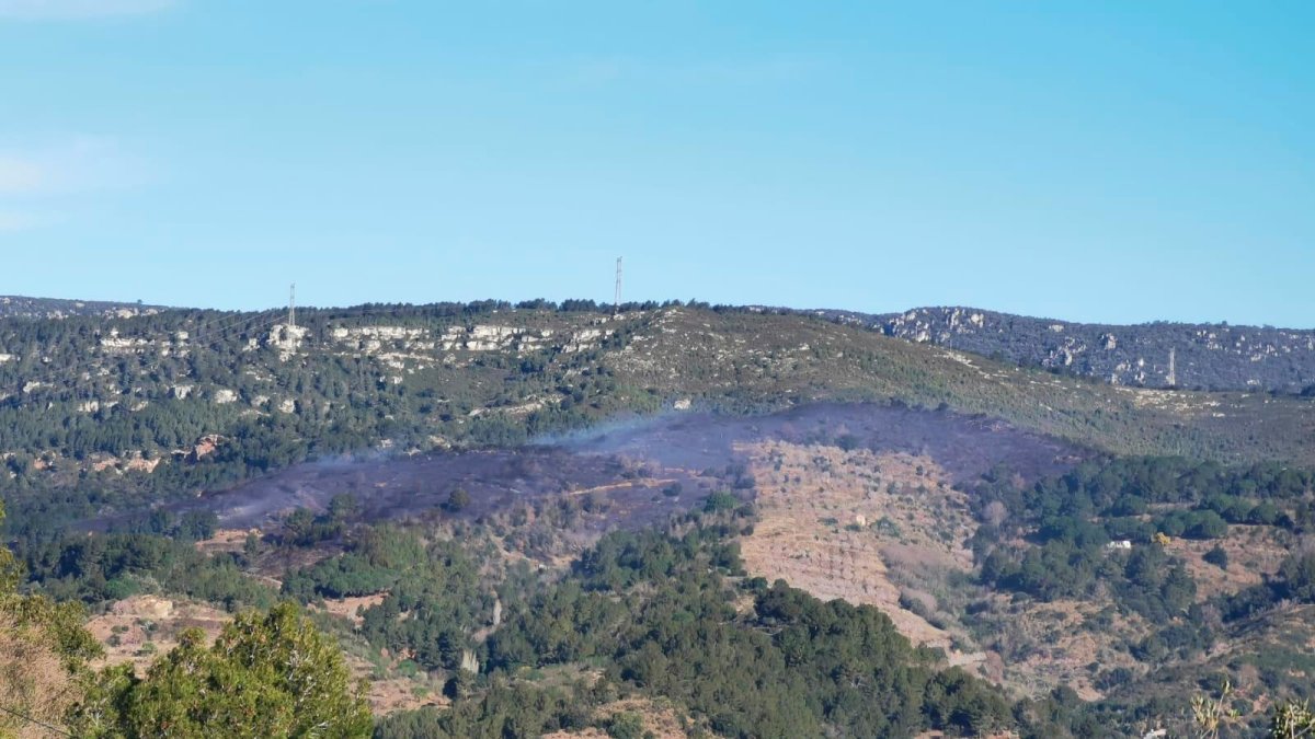 El fuego se extiende ya por una superficie de más de 15 hectáreas.