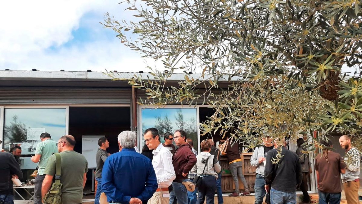 El Festival de la Garrofa va tenir molta participació de firaires i visitants.