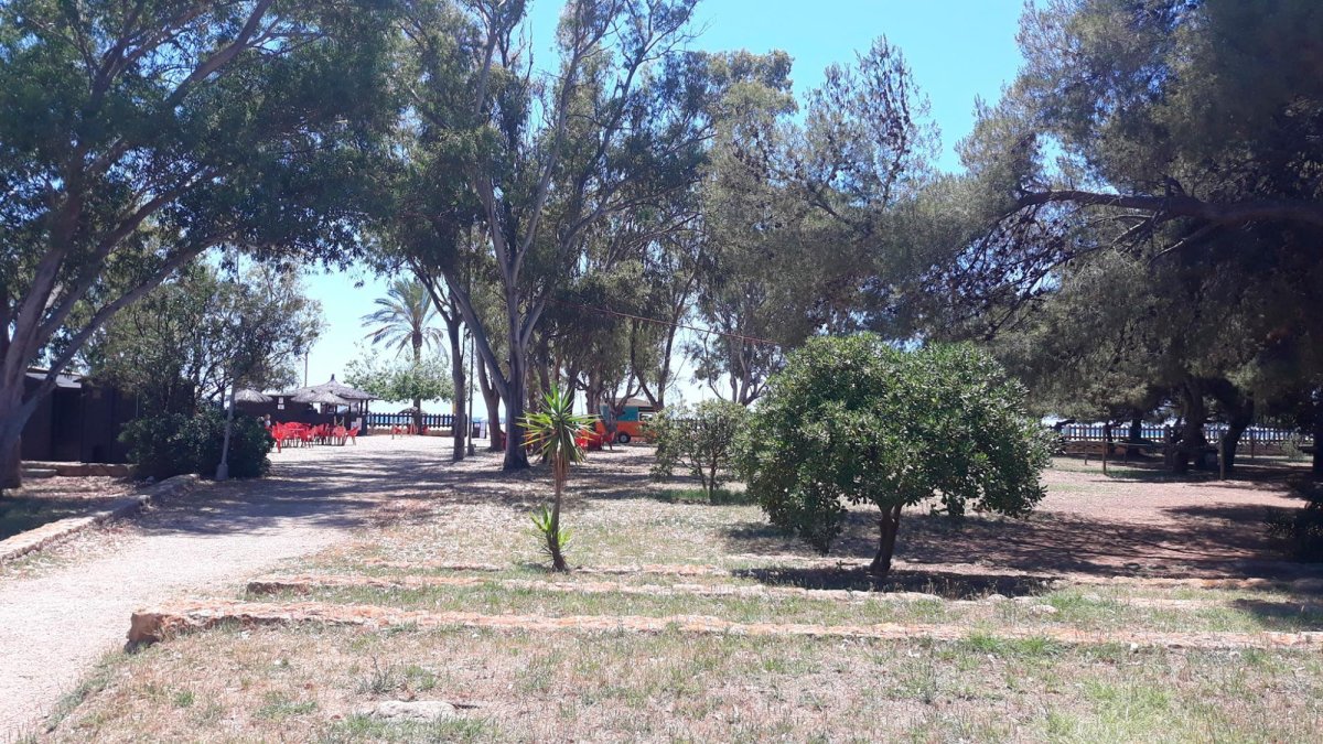 La zona de acampada del Festiuet de Coma-ruga recupera su emplazamiento ...