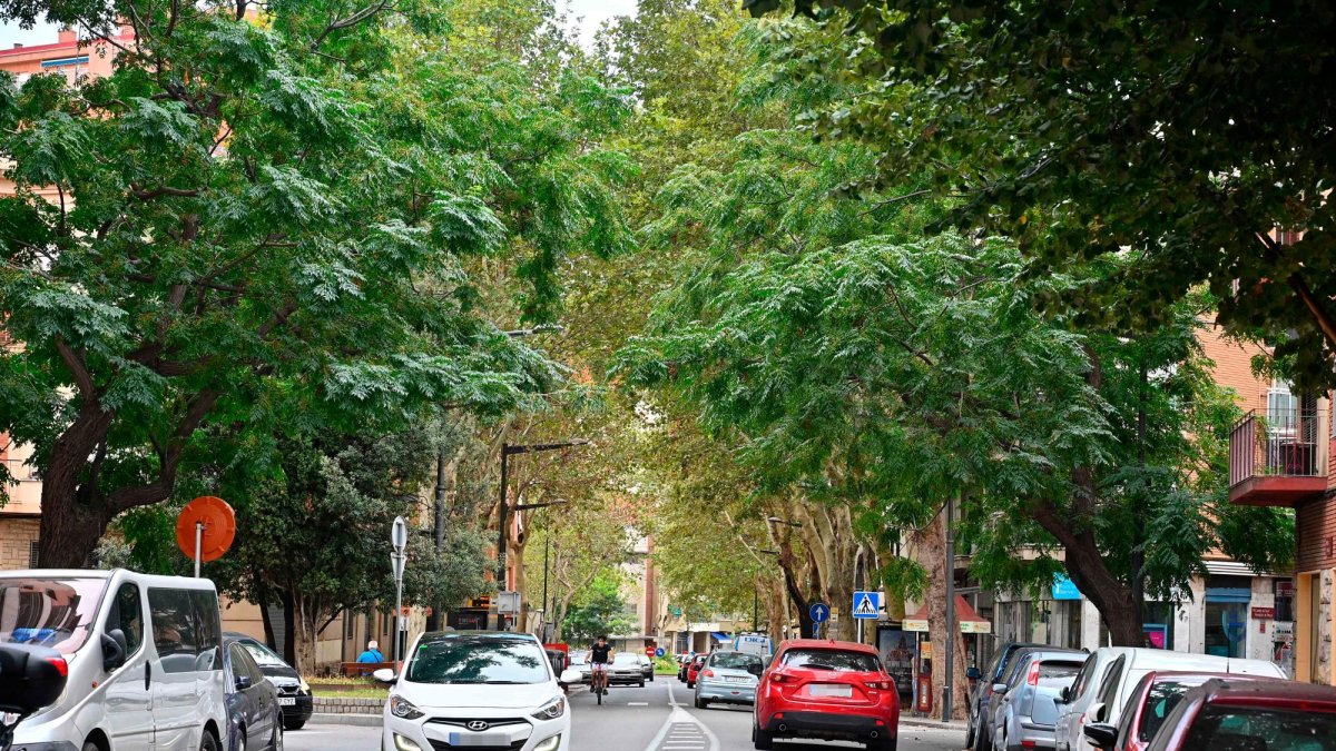 Con tráfico en ambos sentidos, la imagen habitual es la de una vía congestionada.