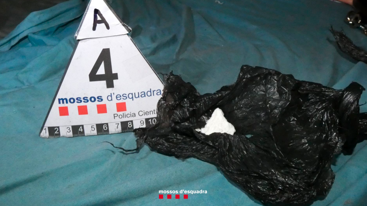 La cocaína incautada.