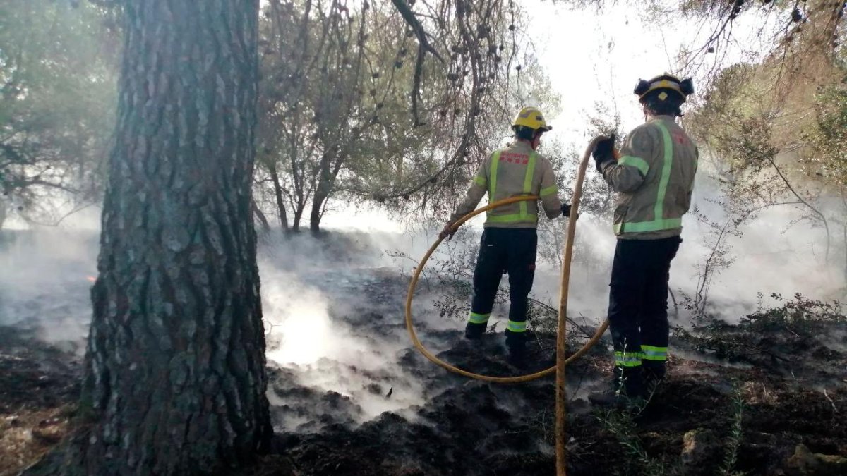 Imagen de los Bombers trabajando en el incendio de El Pla de Santa Maria.