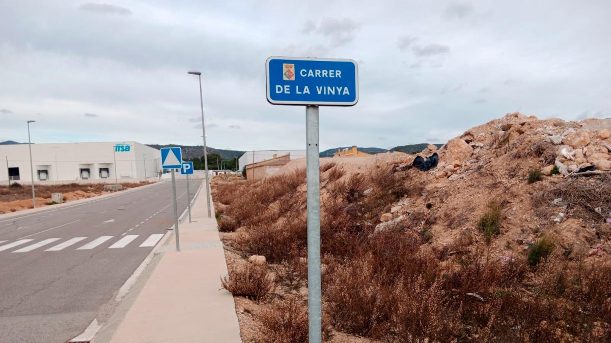 El carrer de la Vinya al polígon industrial les Planes Baixes de la Bisbal del Penedès. Roto: Roser Urgell