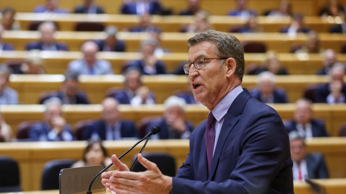 El líder del PP, Alberto Núñez Feijóo, interviene en el pleno del Senado este martes en Madrid.