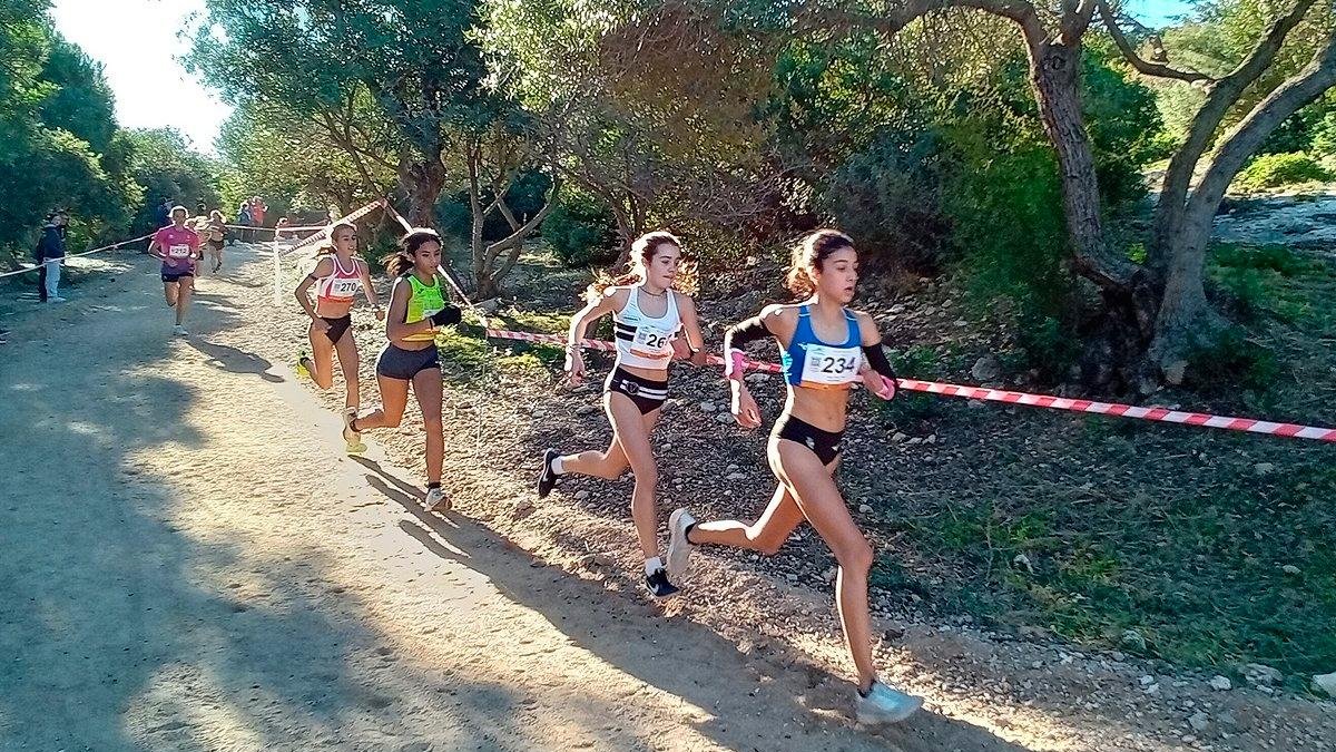 Atletas en la pasada edición del cross.