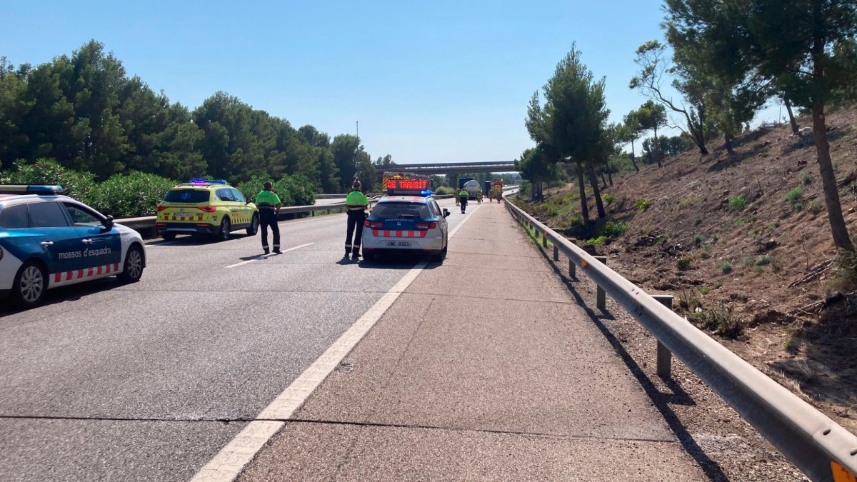 Los cuerpos de emergencias.