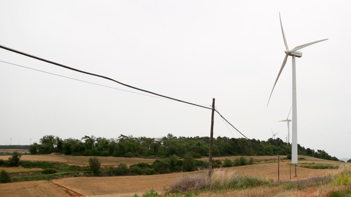 Sembrado donde se ubicará la central